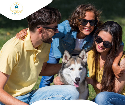 Paquete difusión Tiktok Pro